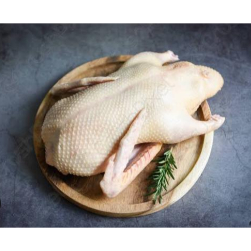 

Bebek Per ekor | JBP_Fresh