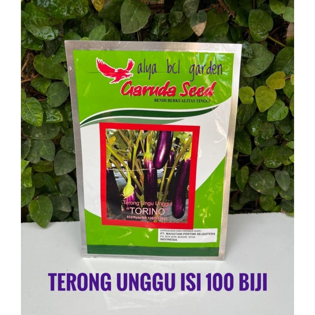 TERONG UNGU PANJANG BENIH BIJI HIBRIDA