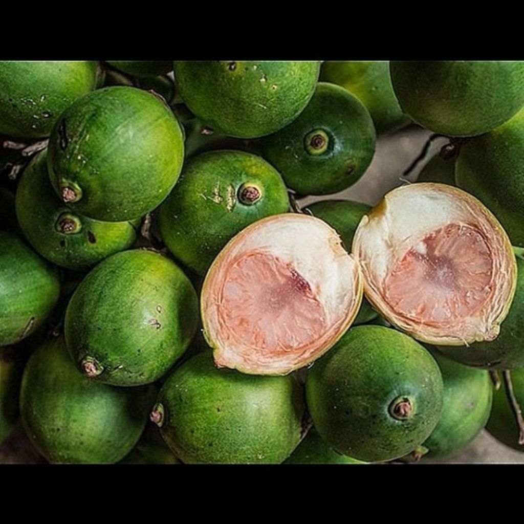 

pinang muda segar/jame muda segar kawalitas trbaik berta 1 kg