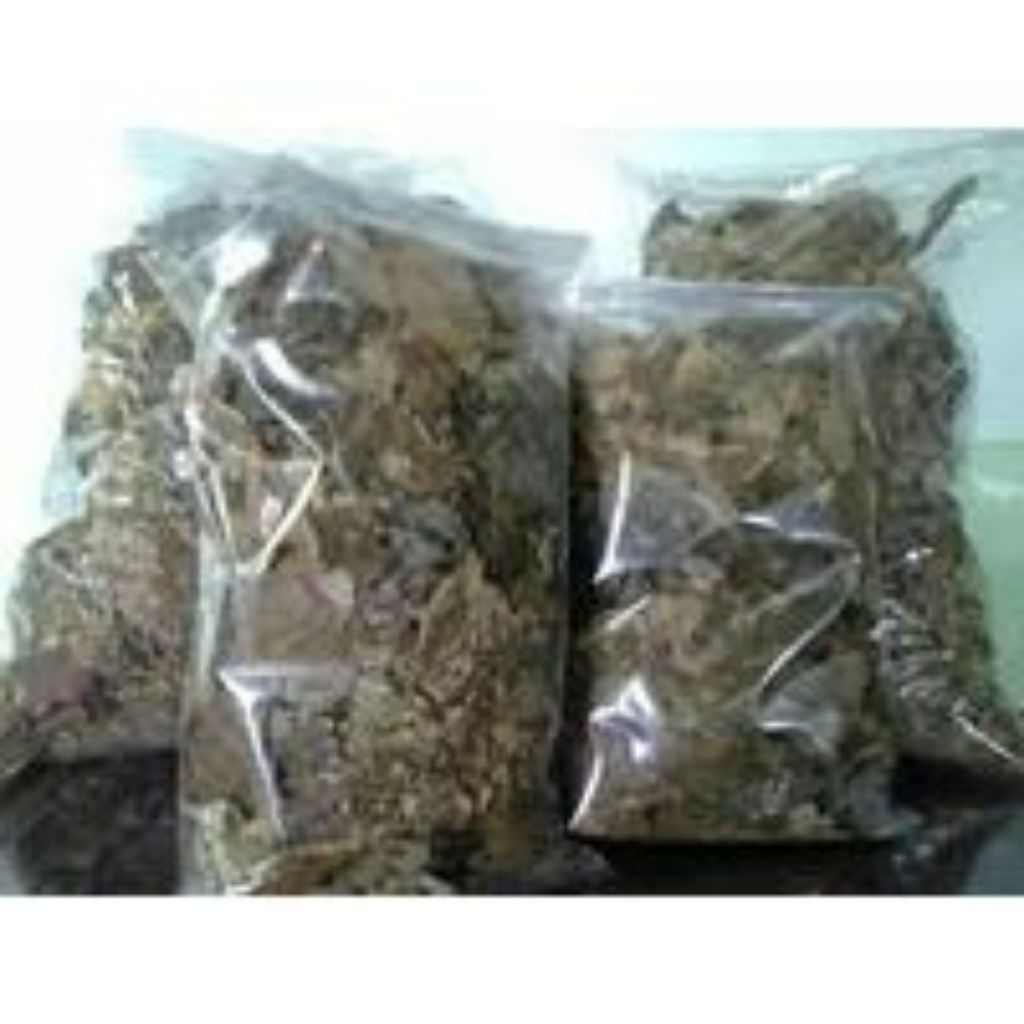 

Daun Herbal Bebadotan kering 500 gram / Daun Bebadotan Kering Herbal Alami