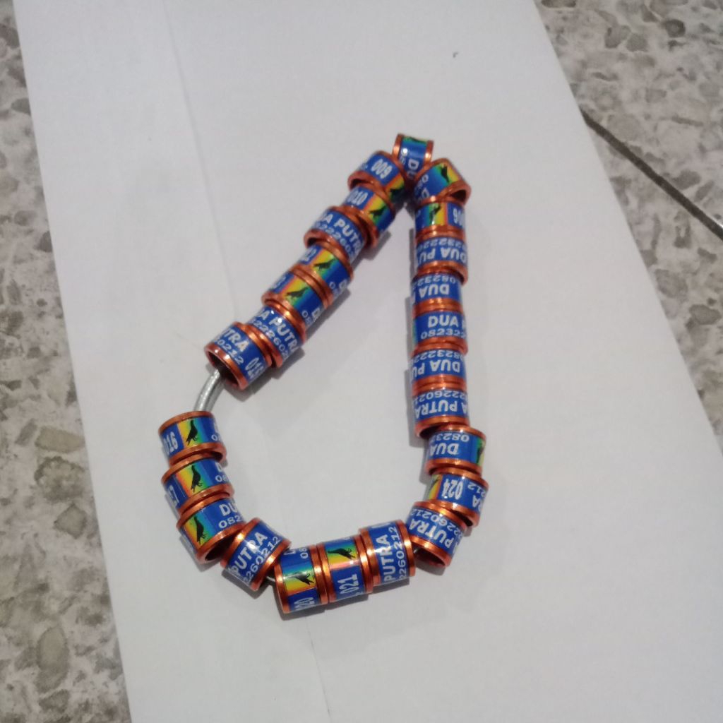 ring burung merpati model roda