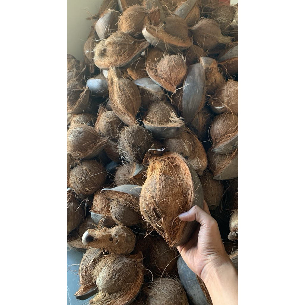 

KELAPA TUA SPEK SANTAN 300-500GRAM