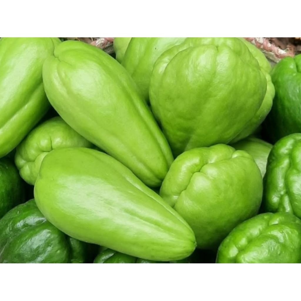 

labu siam fresh 1kg / petik langsung