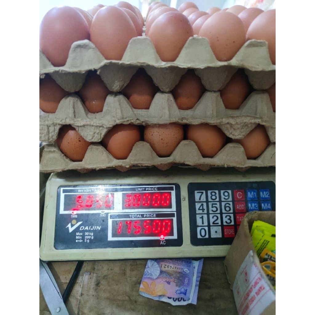 

TELUR OMEGA FRESH A3 1KG SAME DAY ONLY