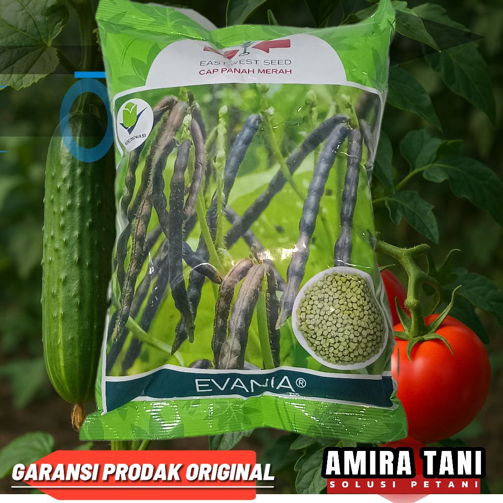 Benih Kacang hijau Evania 1 kg original cap panah merah