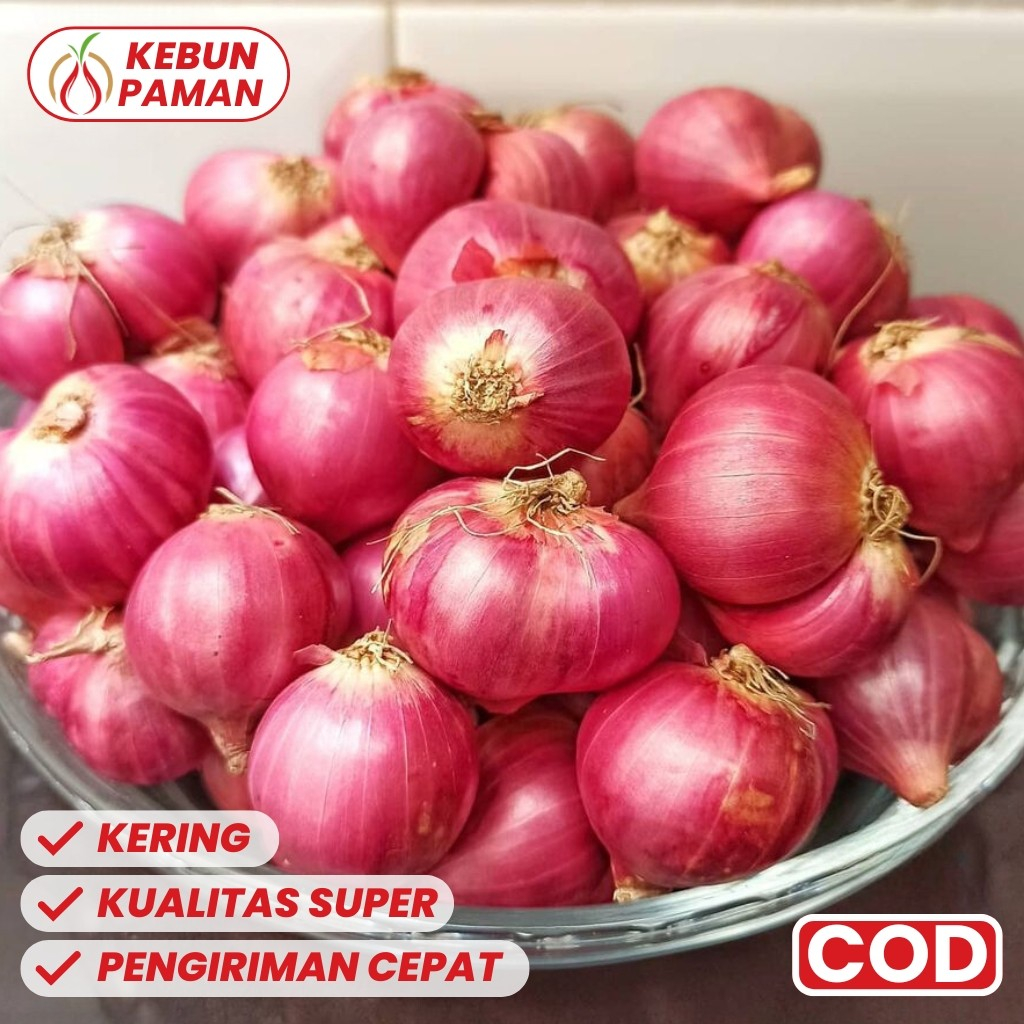 

Bawang Merah Brebes Nganjuk 500 gram Termurah Full Besar