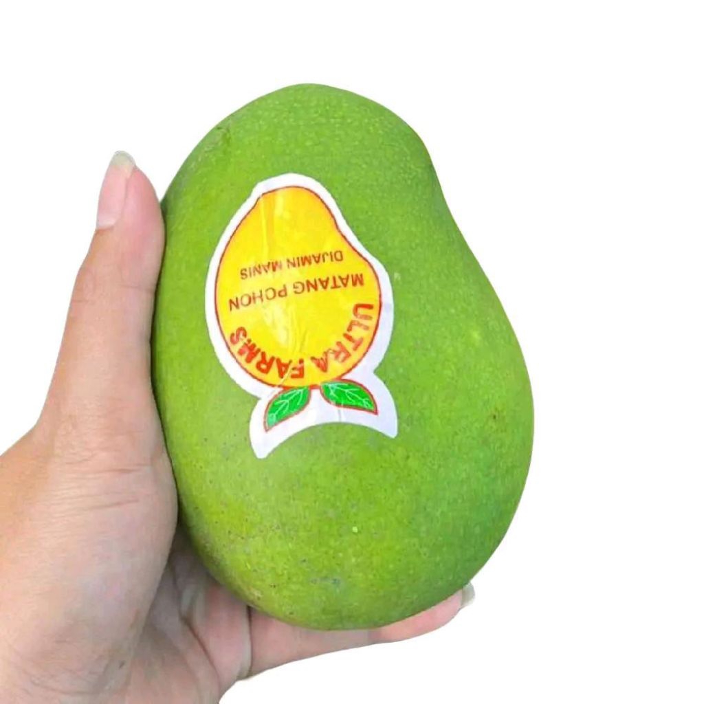 

Mangga ultra farms matang pohon super sweety fresh 1 kg