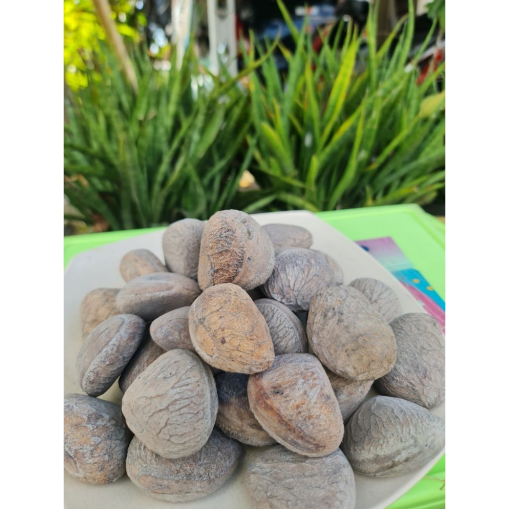 

Kluwek/Keluak Fermentasi Siap Pakai – Biji Pilihan untuk Rawon, Brongkos, Sambal Pangi – 250gr