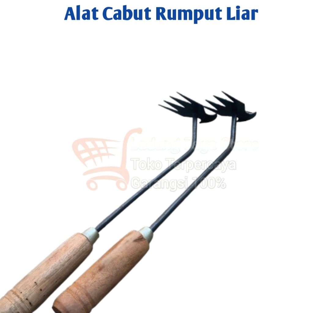 Alat Pencabut Rumput Liar -Alat Murah Terbaru Pencabut Rumput Liar -