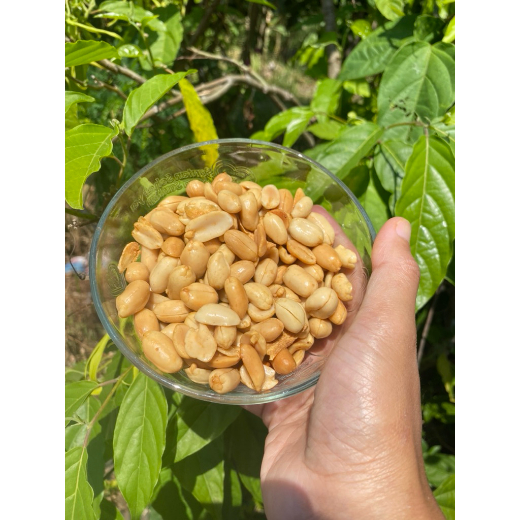 

kacang bawang berkualitas paling best seller
