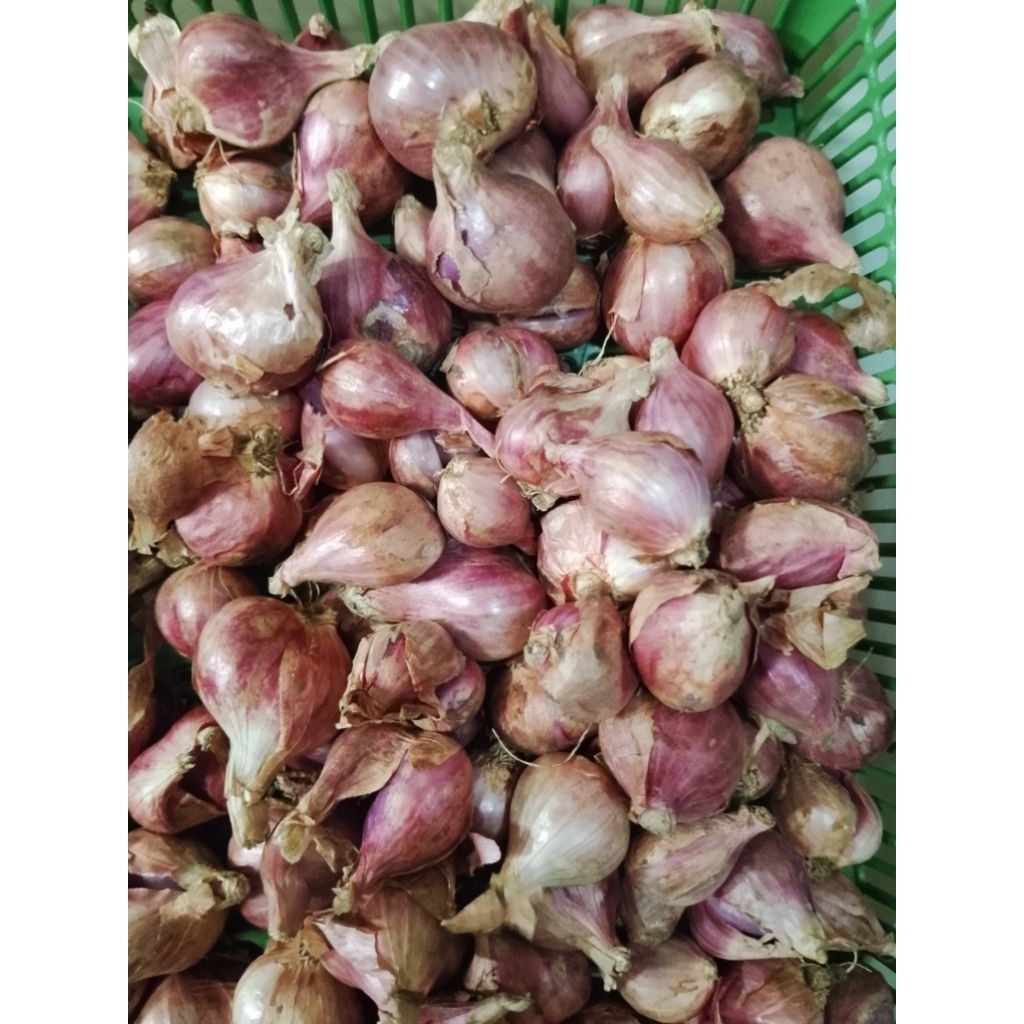

Bawang Merah Pilihan Fresh 1KG