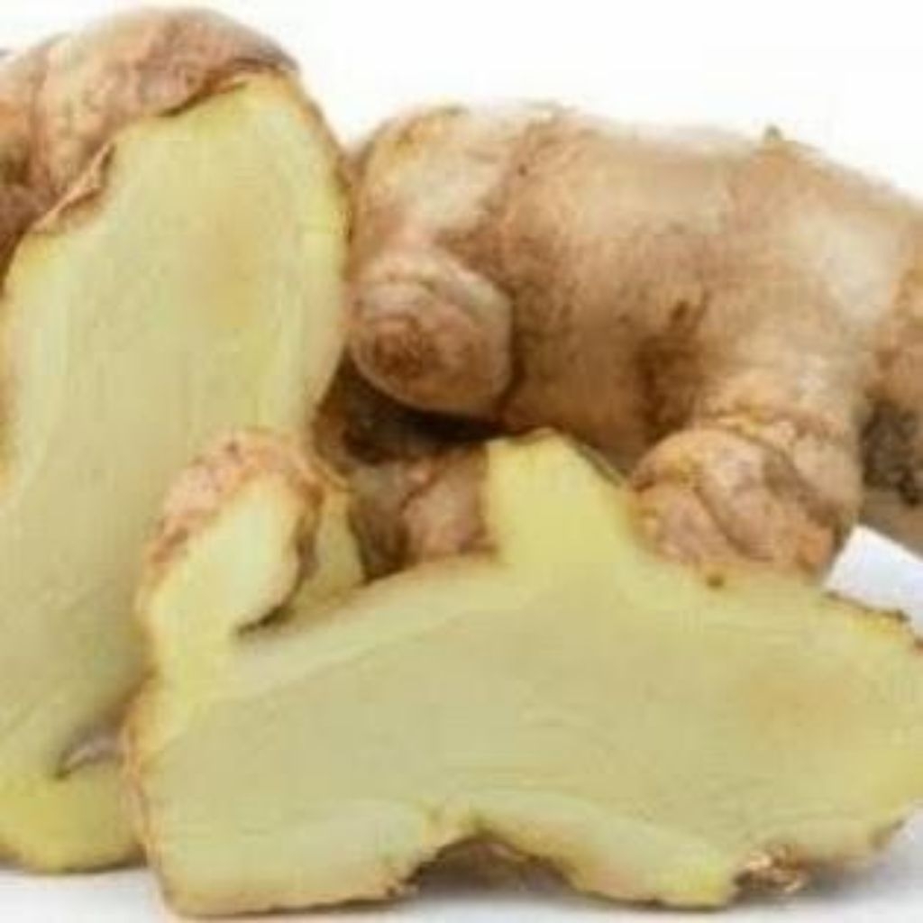 

obat herbal kunyit putih segar/temu putih(curcuma zedoaria)berat 1 kg