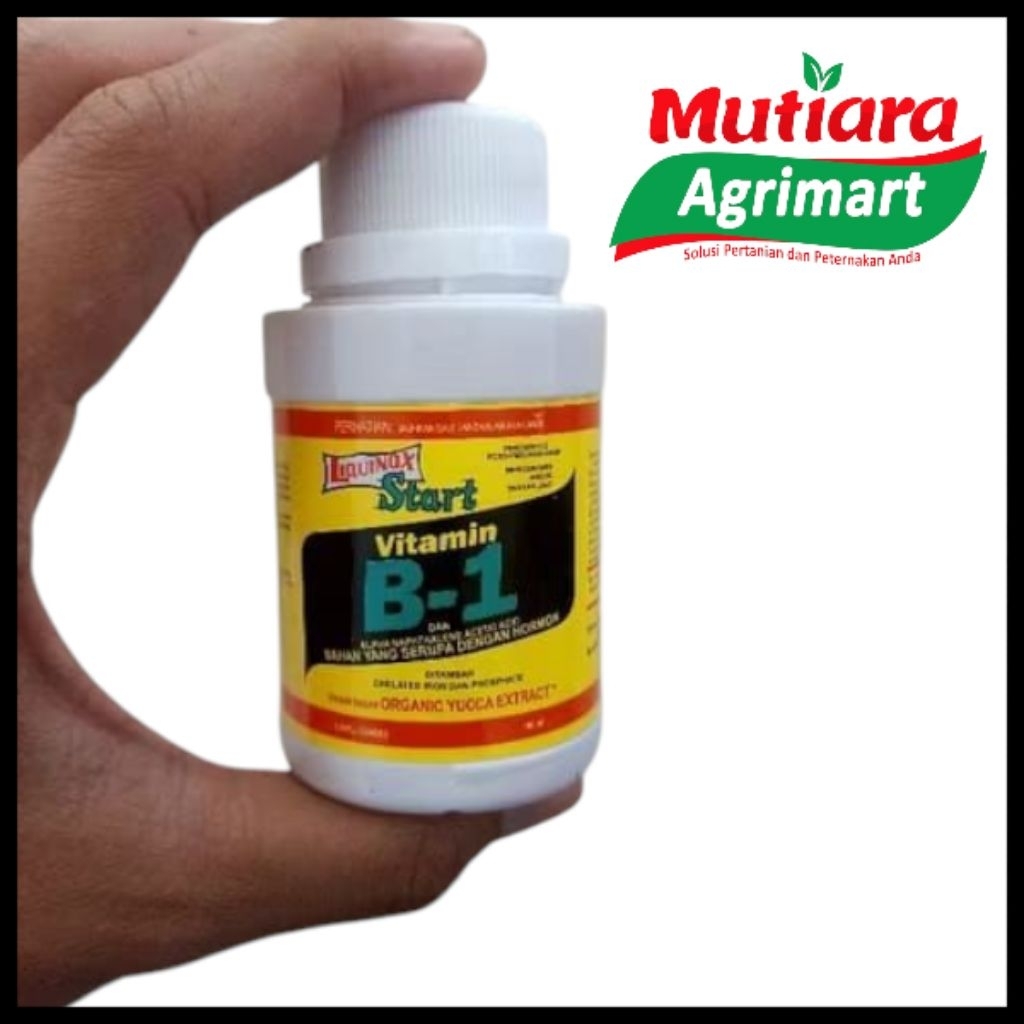 PUPUK CAIR B1 100ML // VITAMIN B1 TANAMAN