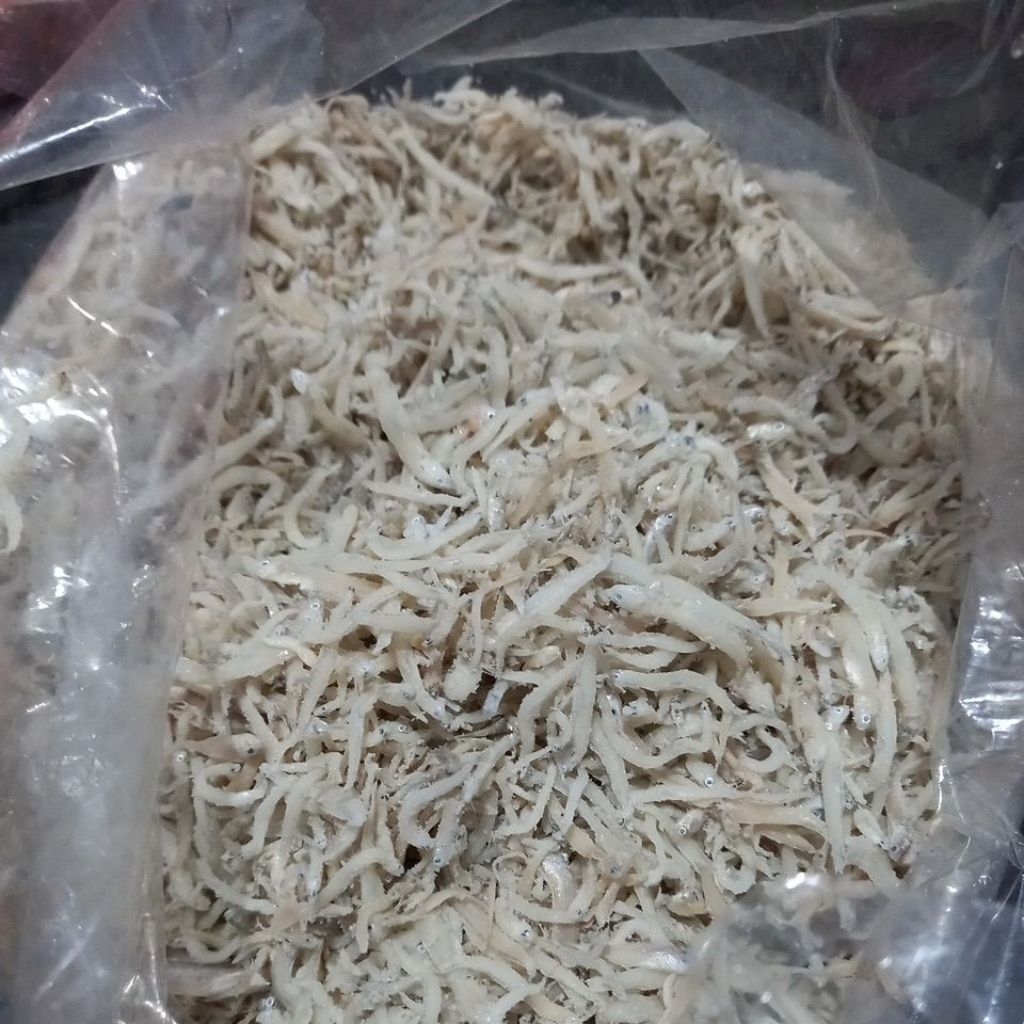 

TERI MEDAN READY FRESHHH BGT