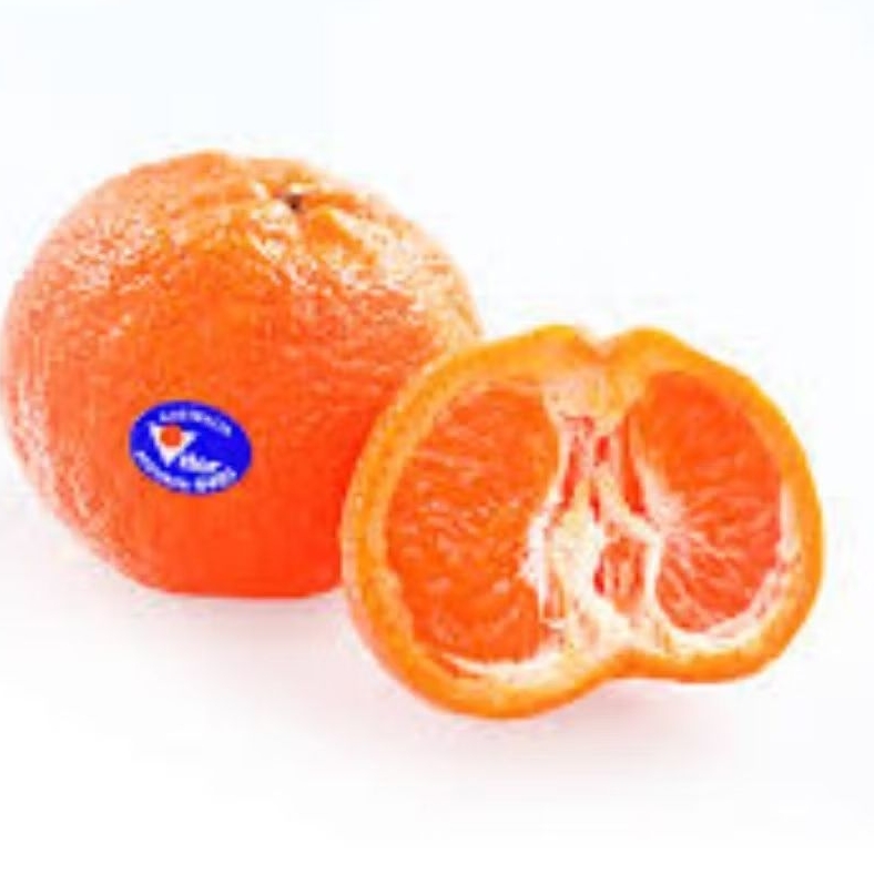 

JERUK AFOURER AUSTRALI (TANPA BIJI) 1 KG