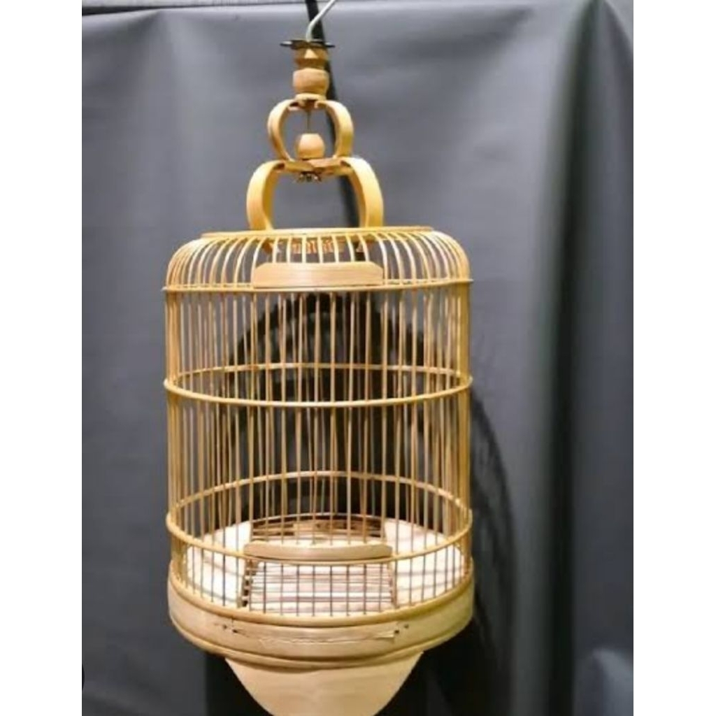 Sangkar pleci cungkok