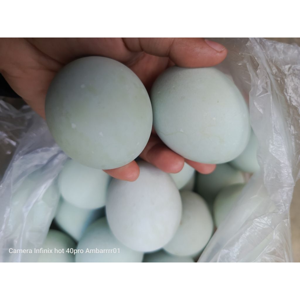 

Telur asin 10butir/bgks