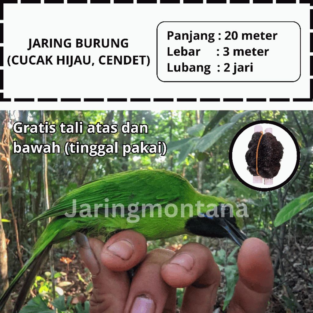 JEBAKAN BURUNG CUCAK IJO KACER TEKUKUR WARNA HITAM 20 METER LUBANG 2 JARI JARING SAWAH