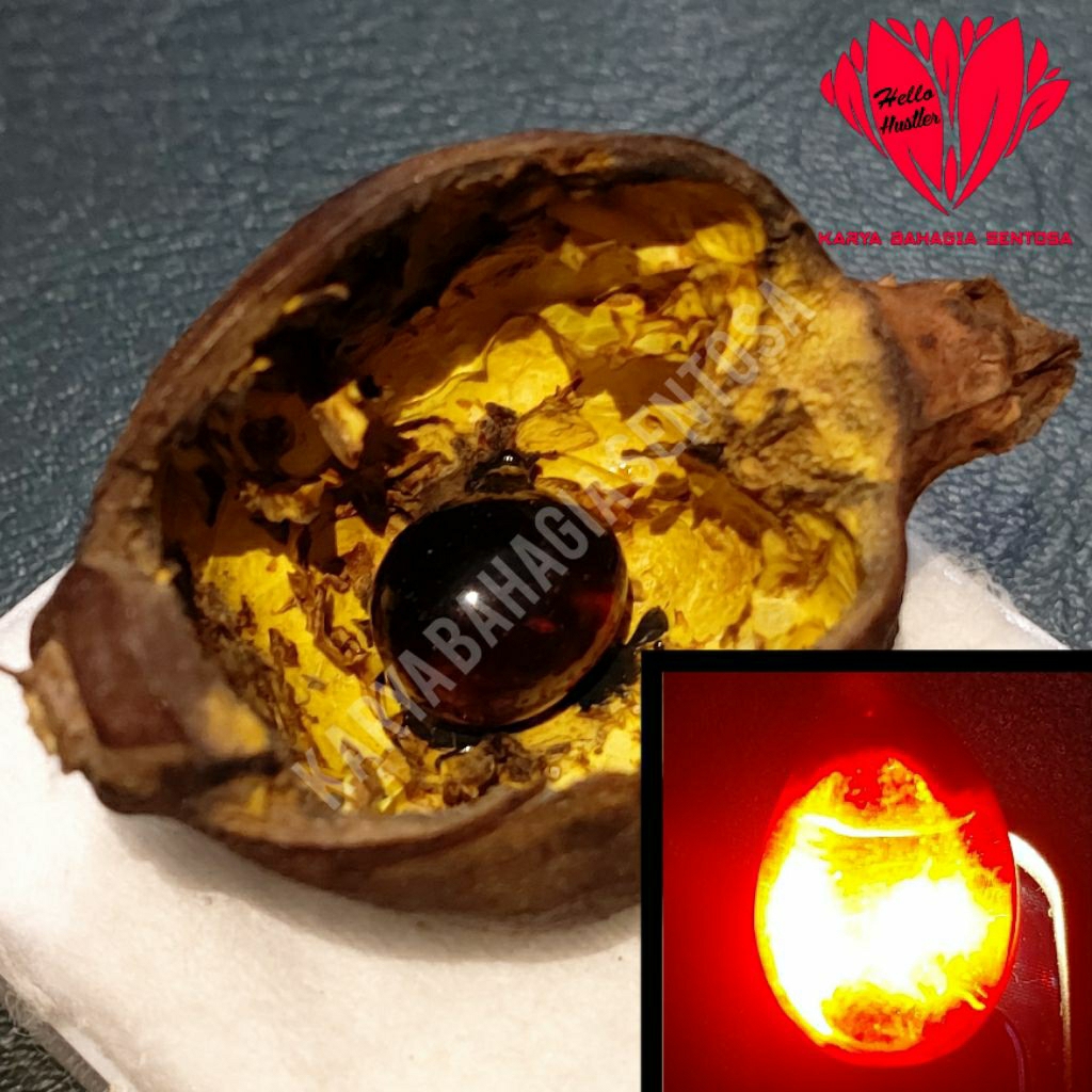 Batu Permata Merah Delima Bentuk Oval Telur Semi Tetes Air Dalam Buah Delima Alami Signature