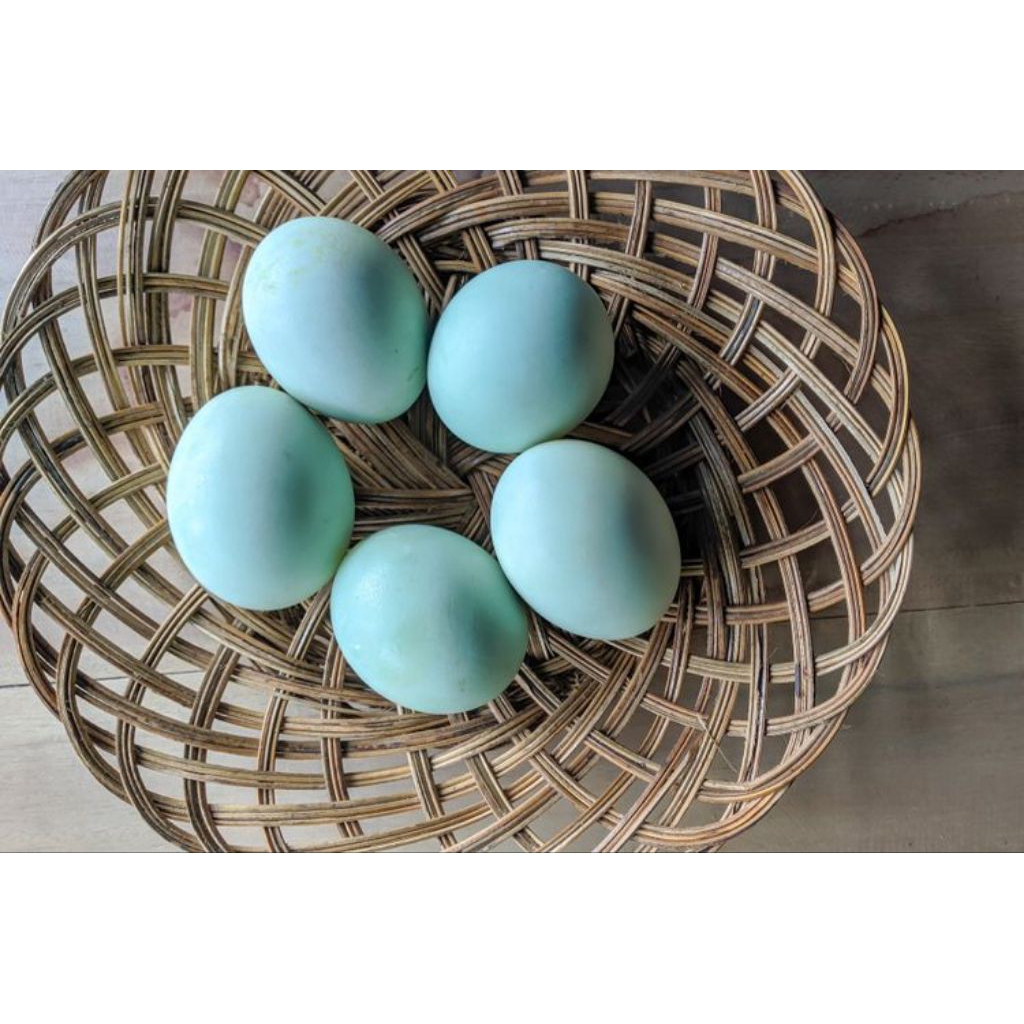 

telor bebek mentah/10 butir