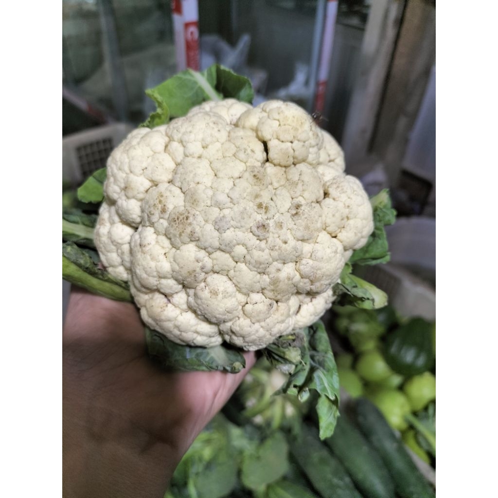 

KIRIM INSTAN I Brungkul 1 Kg