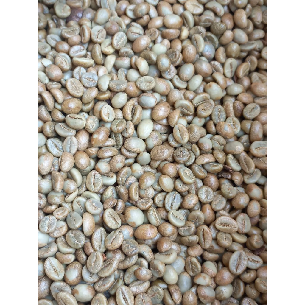 

Greenbean Robusta Temanggung Grade 1 (sortasi) kemasan 5kg