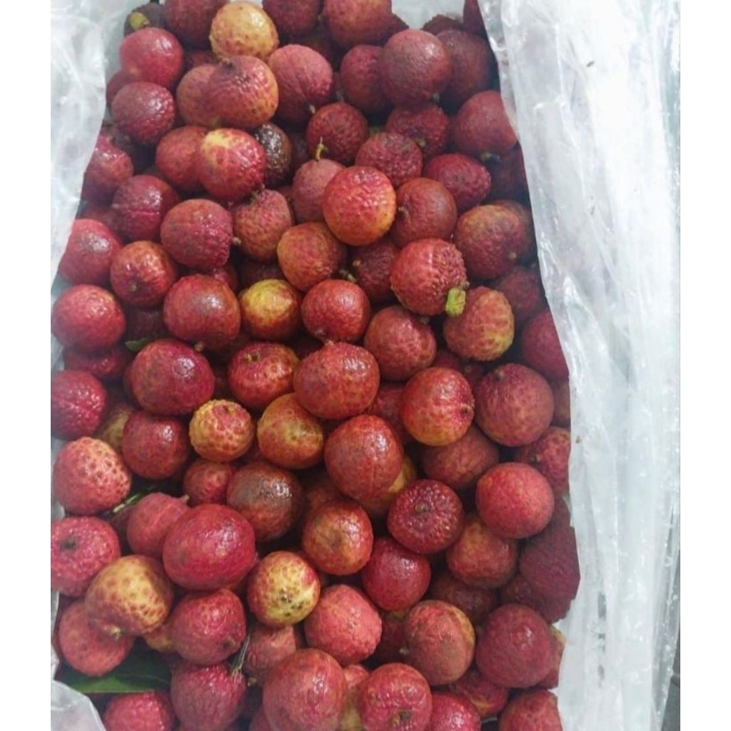 

LECI MERAH MANIS 1KG