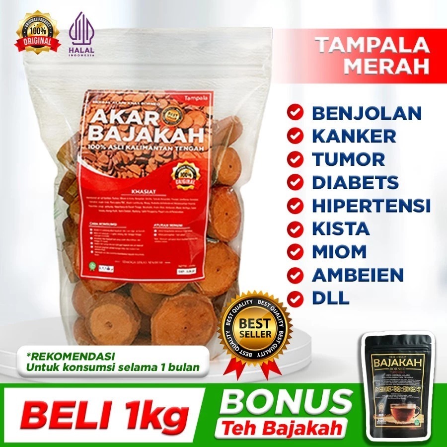 

Akar Bajakah Kayu Bajakah Tampala Merah 1 Kg Asli Kalimantan Terbukti Khasiatnya 100% Original