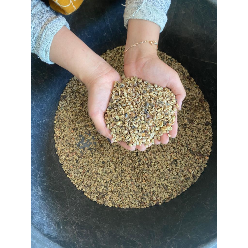 

Kopi Pixel Robusta Dampit Harga Perkilogram