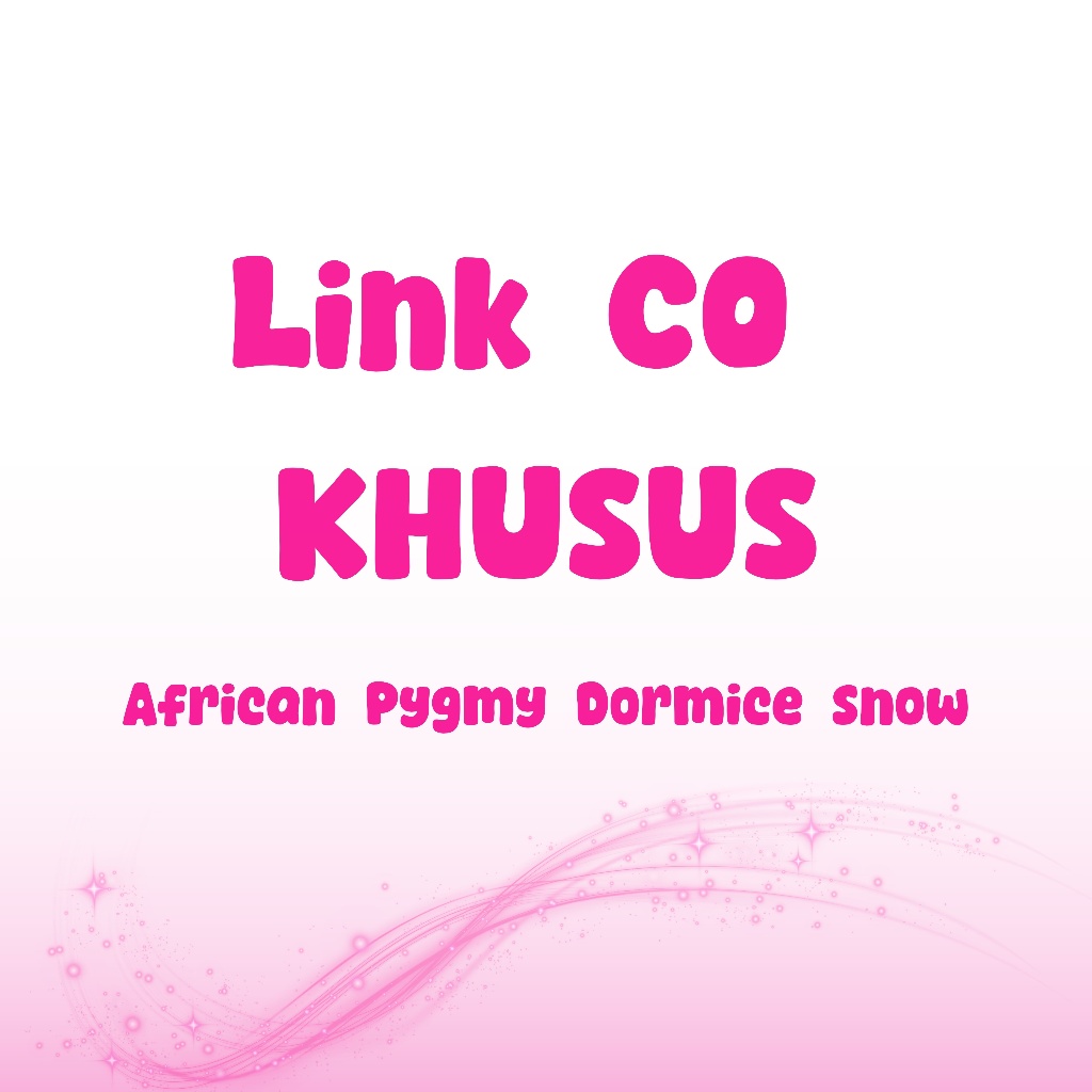 Link Co Khusus Pembeli Custom TUPAI 3 WARNA SEPASANG