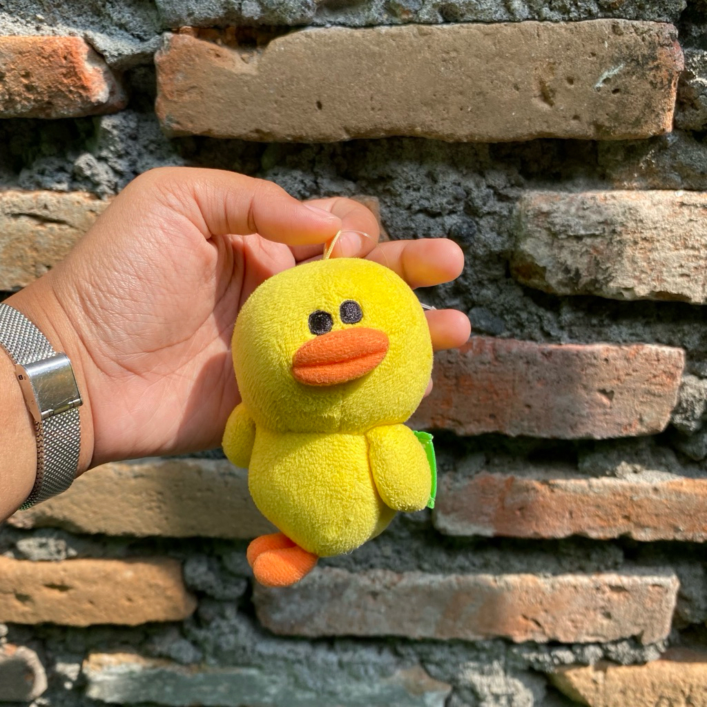 Ganci Sally Line Friends