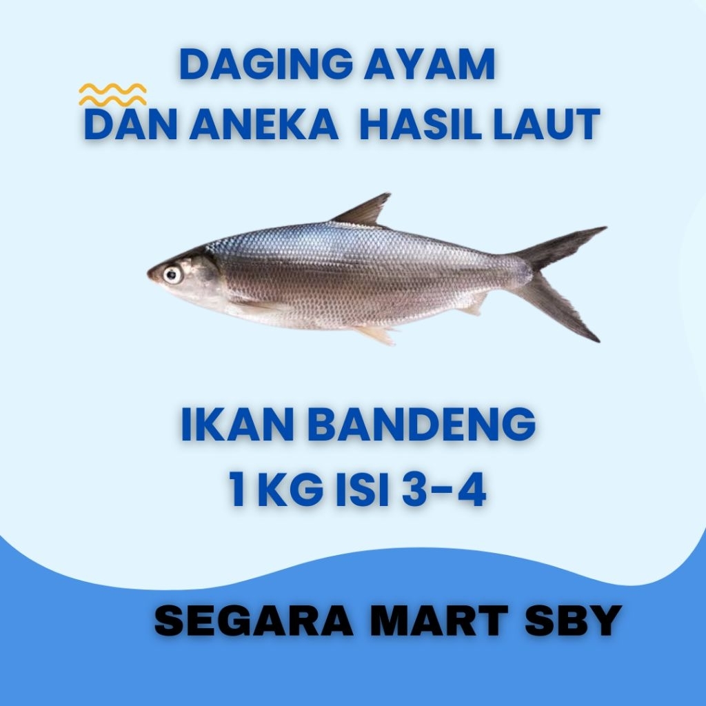 

IKAN BANDENG BESAR 1 KG ISI 3-4 EKOR || Segara Mart Sby