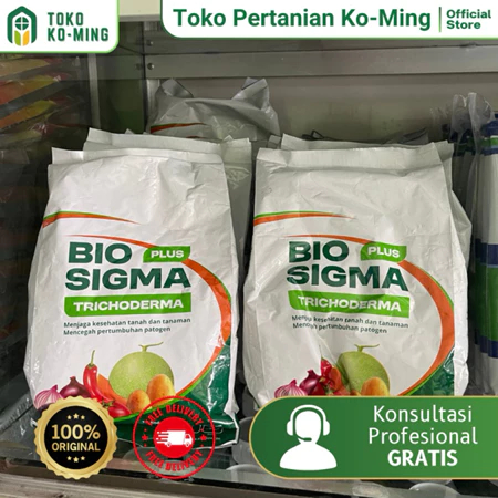 

BIO SIGMA PLUS TRICHODERMA - FUNGISIDA HAYATI - 500GR