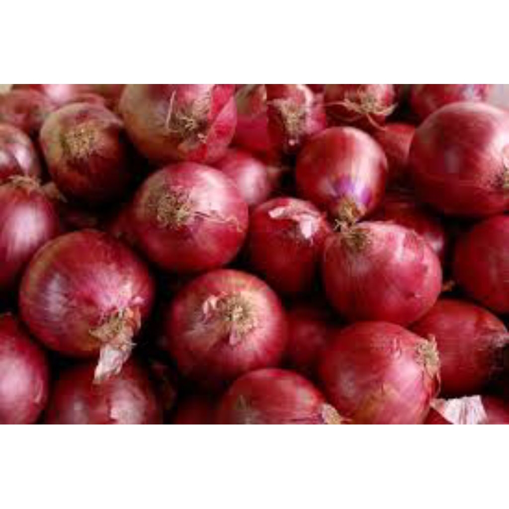 

Bawang merah besar bukan kecil 500 gram asli pasuruan bromo