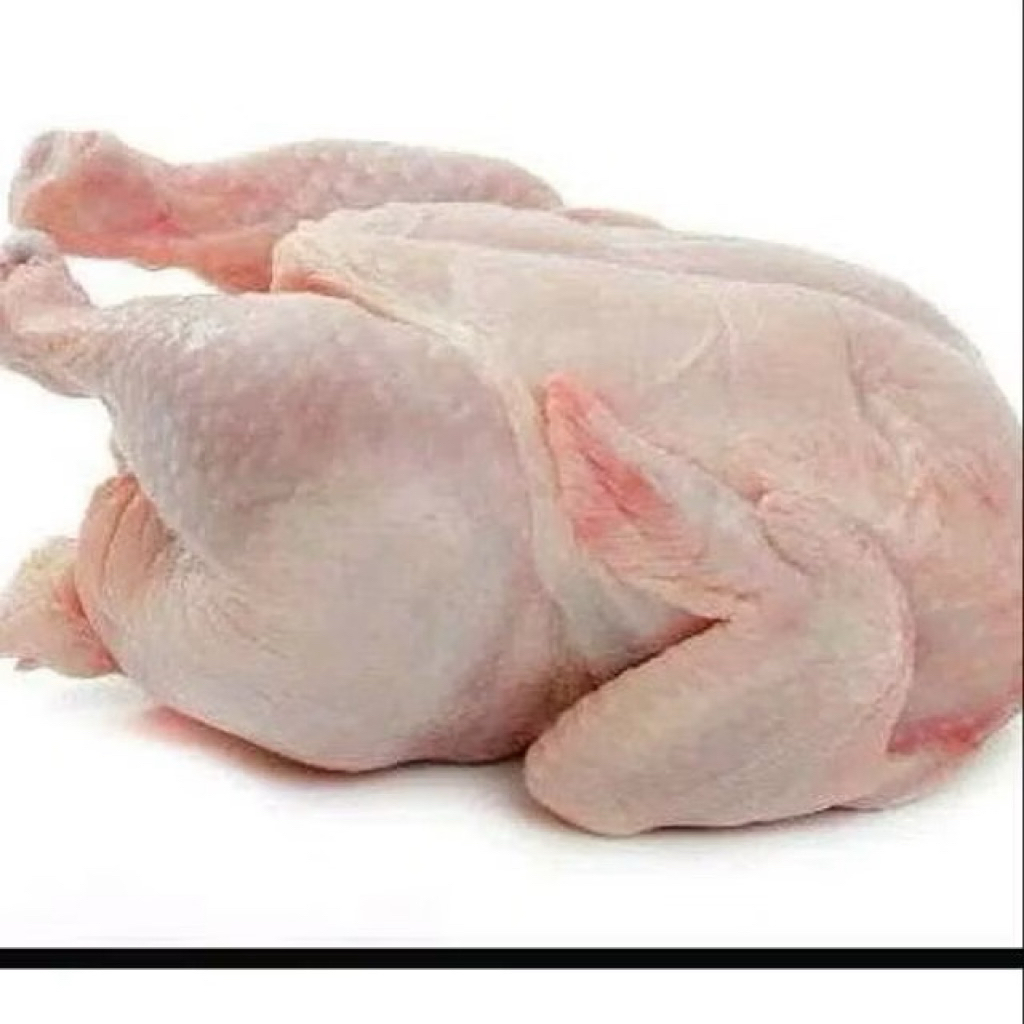 

[palembang] ayam utuh 1.2-1.3 kg bersih tanpa kepala, tanpa jeroan