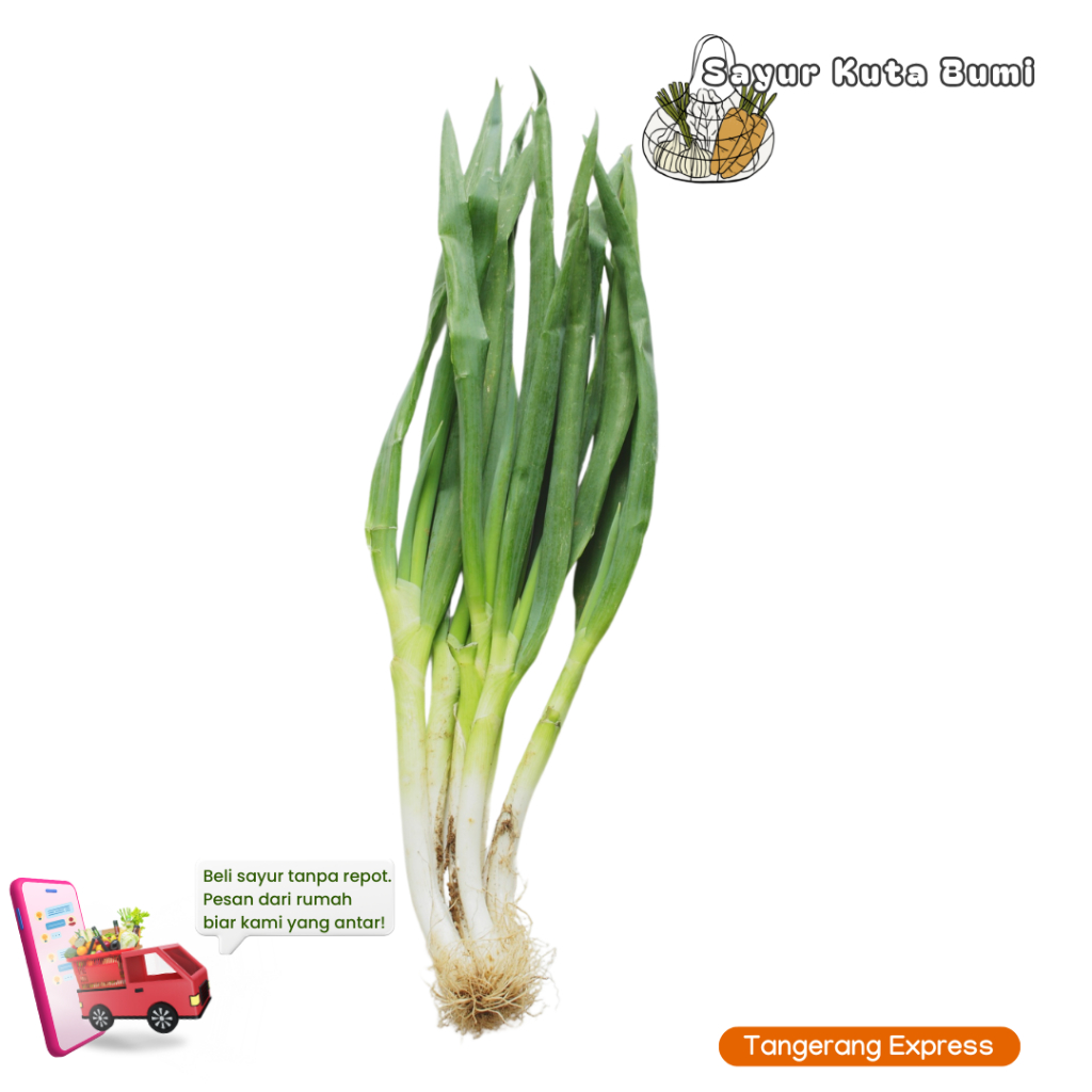 

KIRIM INSTAN Daun Bawang 100gr Sayur Kuta Bumi Pasar Kemis Tangerang Express