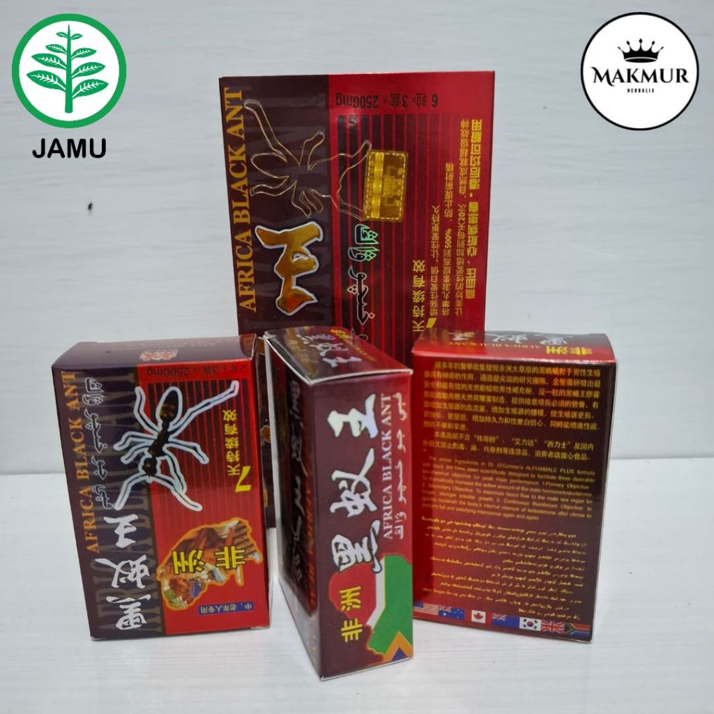 

SemutHitamAfrika-AfticaBlackAnt