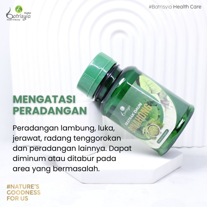 Batrisyia Binahong Ekstrak Daun Binahong