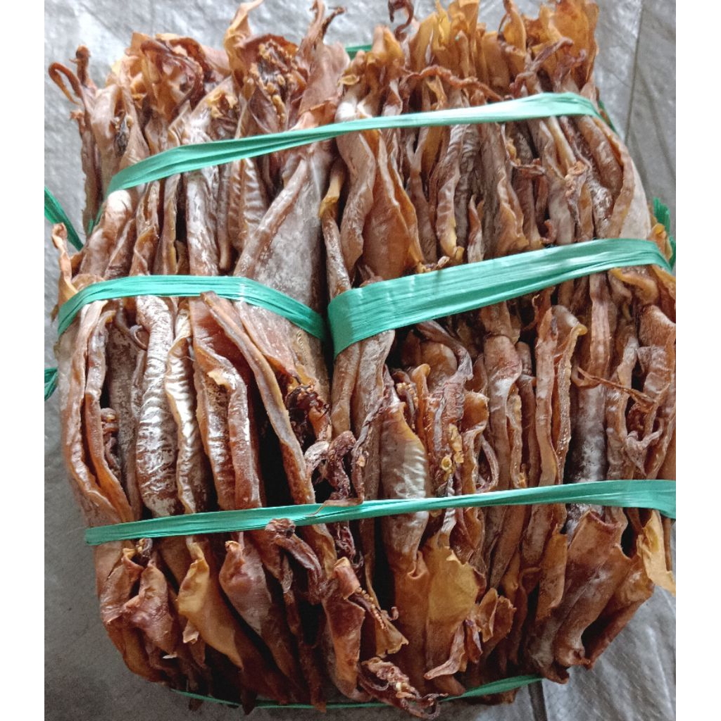 

Ikan Cumi kering tawar Juhi atau Sotong kering tawar Ukuran kecil Langsung dari nelayan