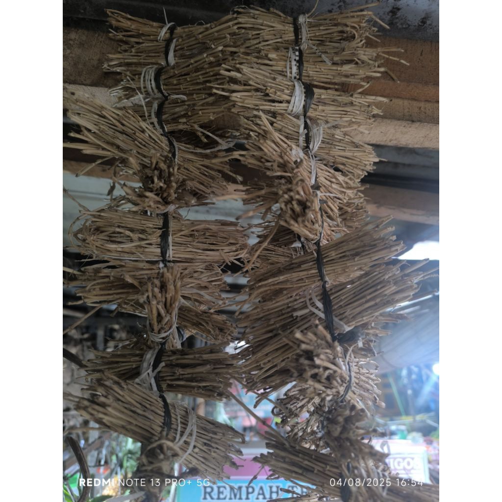 

Akar Alang-Alang / Urat Rih ( Per Ikat)