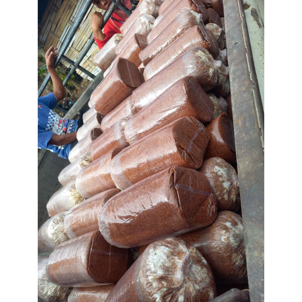 

baglog/media tanam jamur tiram putih f2 berkualitas