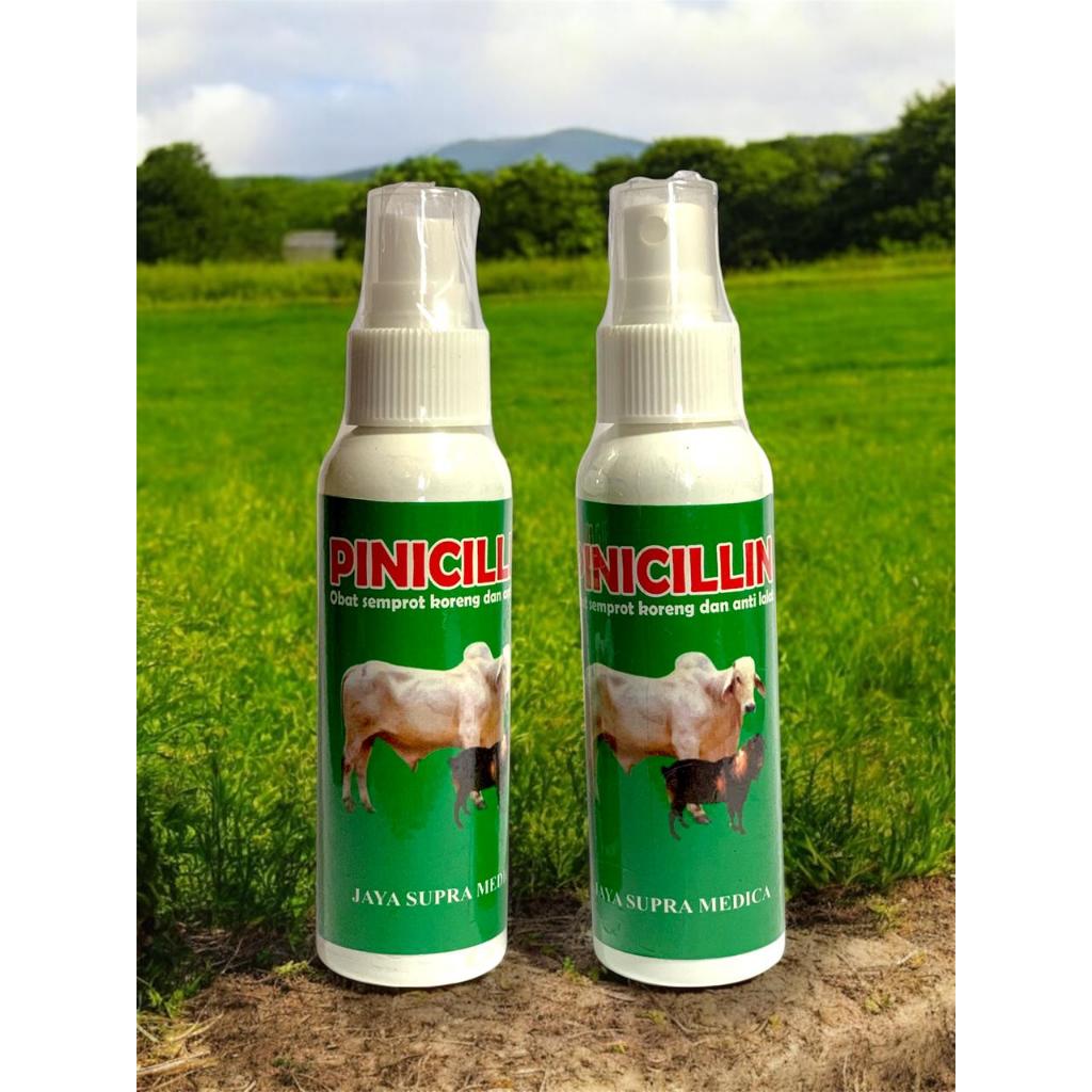 pinisilin spray