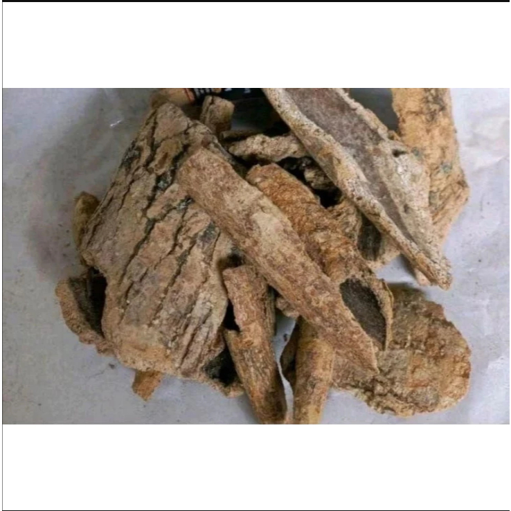 

500 gram Kulit Kering Pohon Pule / 250 gram Kulit Kayu Lame Kering