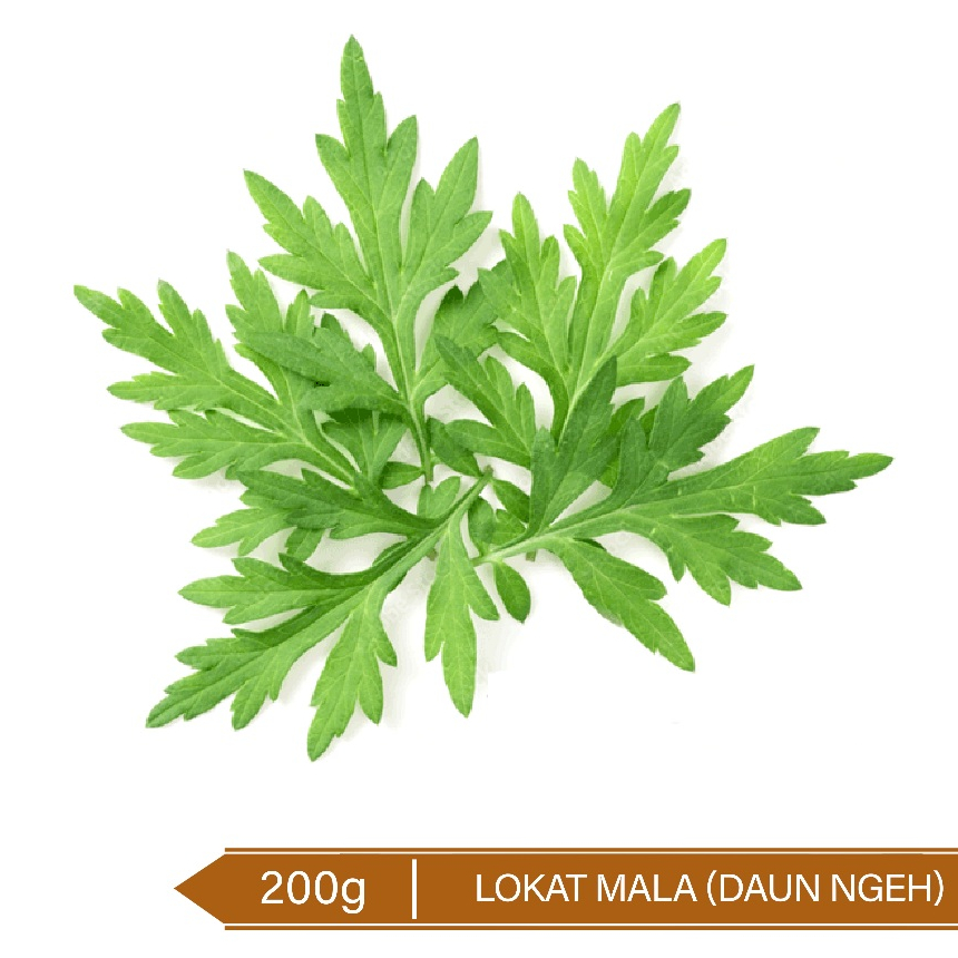 

Lokat Mala (Daun Ngeh) Organik 200g