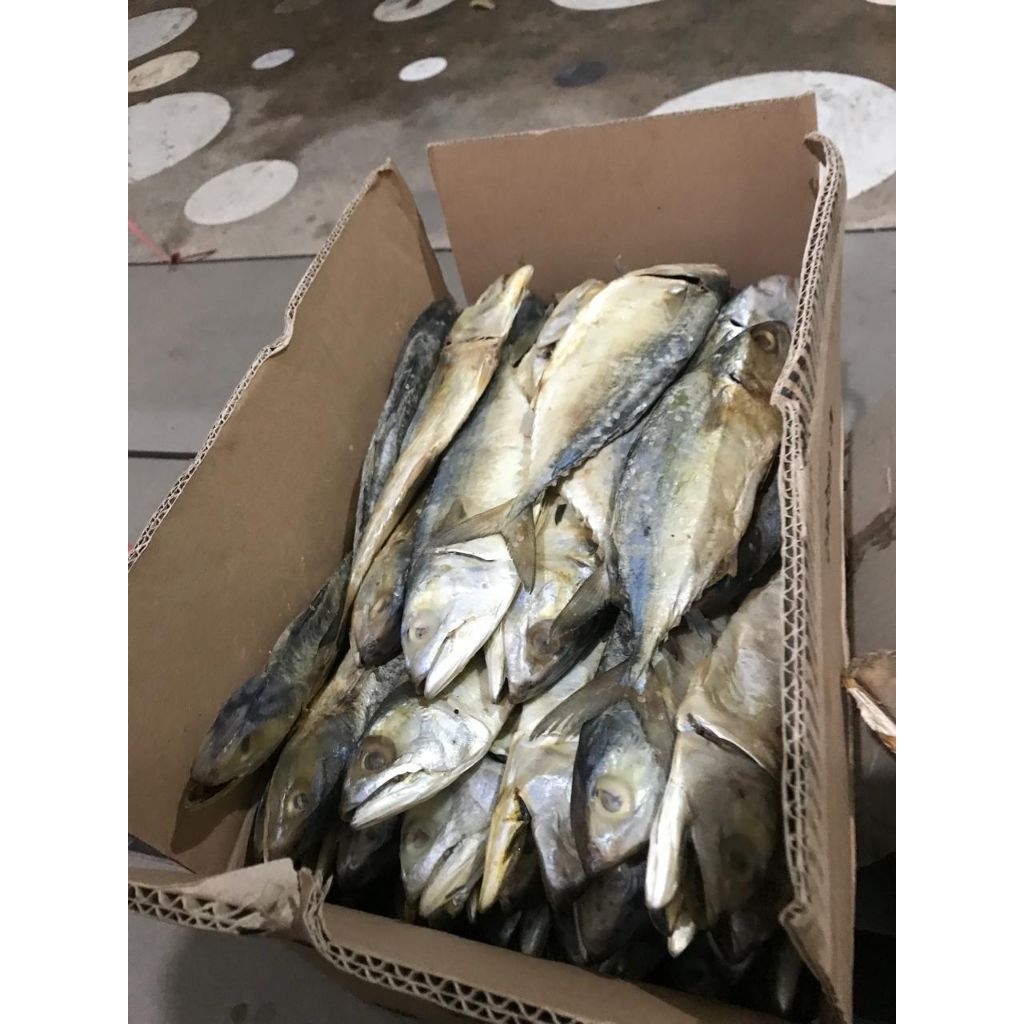 

peda asin/kering ekoran berat 100grm kuranglebih di jamin paling murah