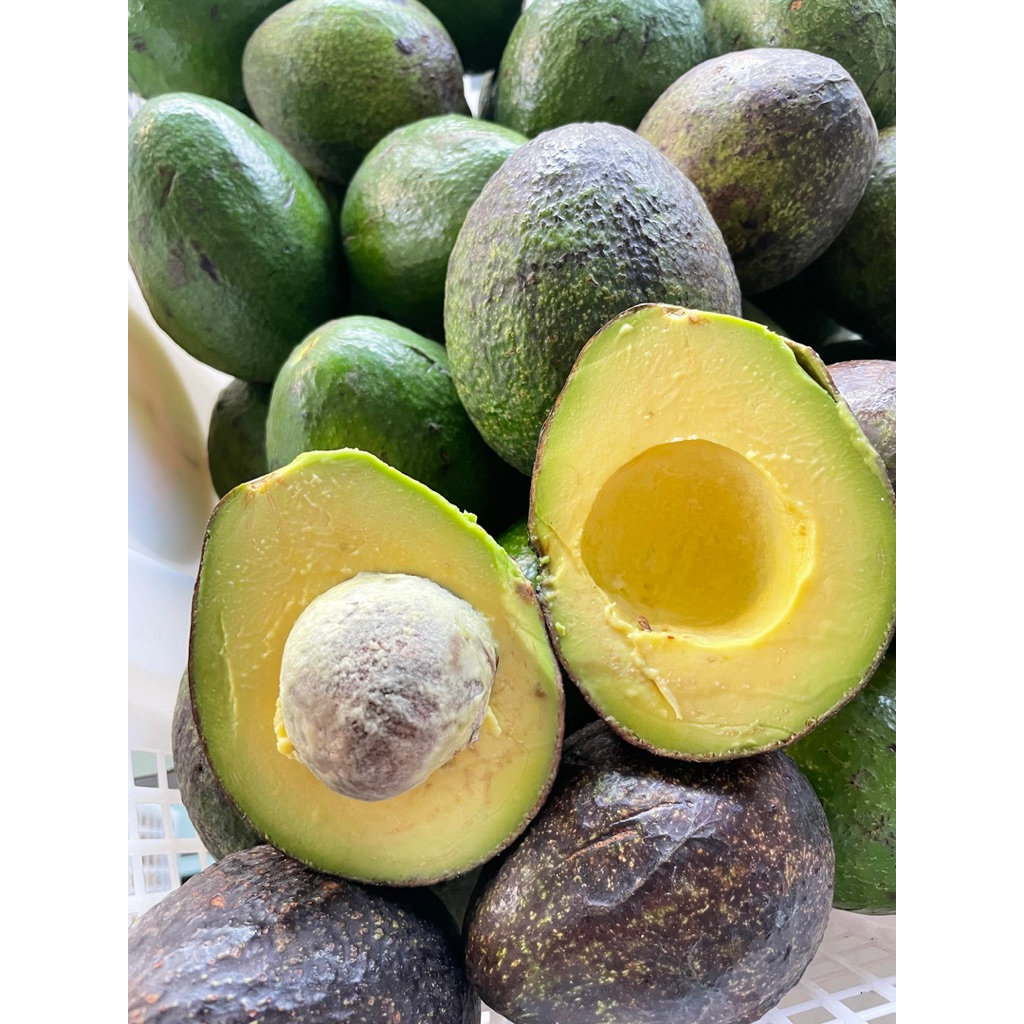 

Alpukat mentega lokal (1kg isi 3-4)