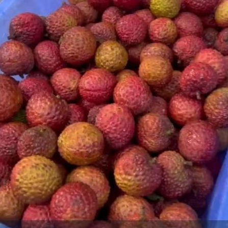 

Buah Leci Merah 1kg (promo)
