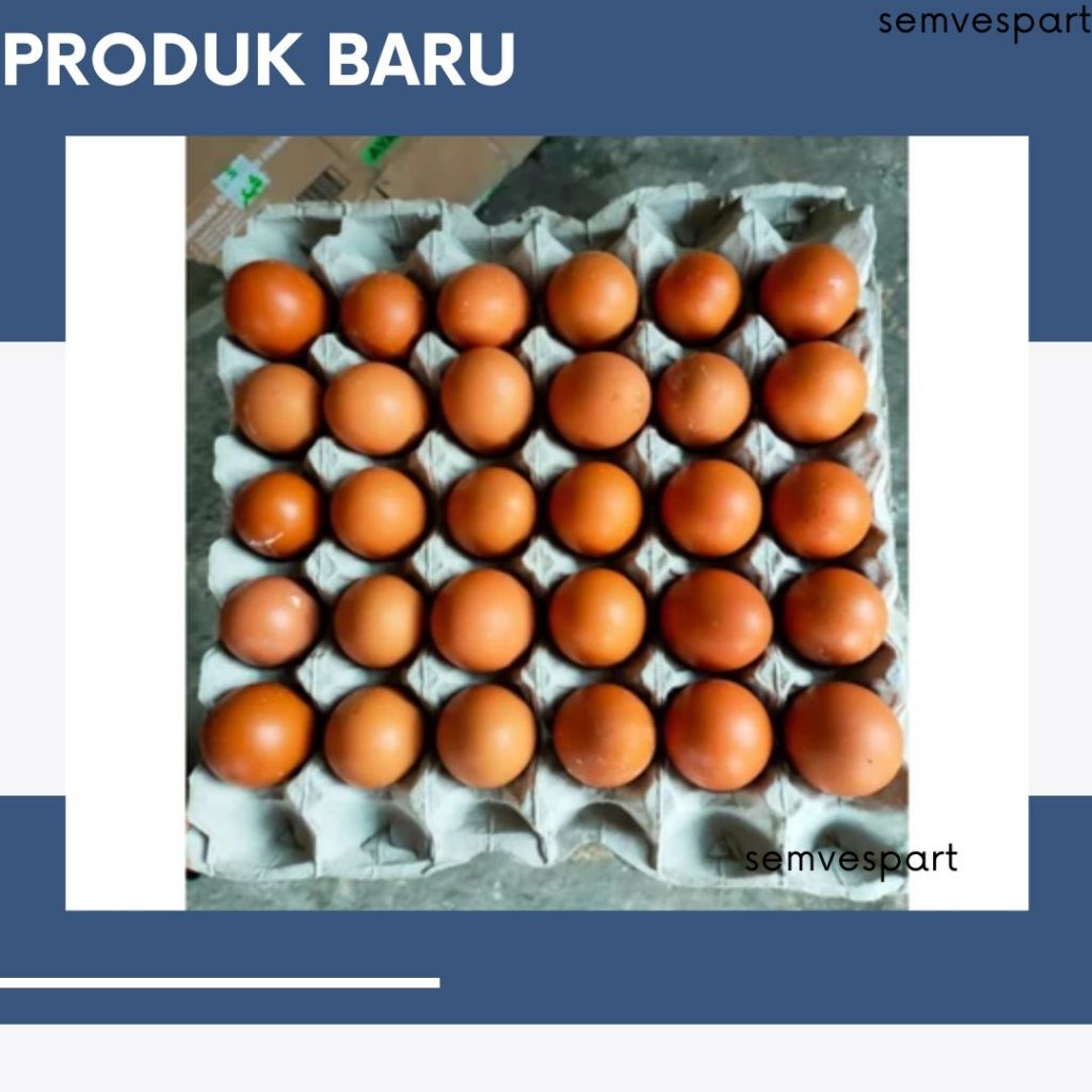 

PROMO Telur Ayam Negri PerKg telor