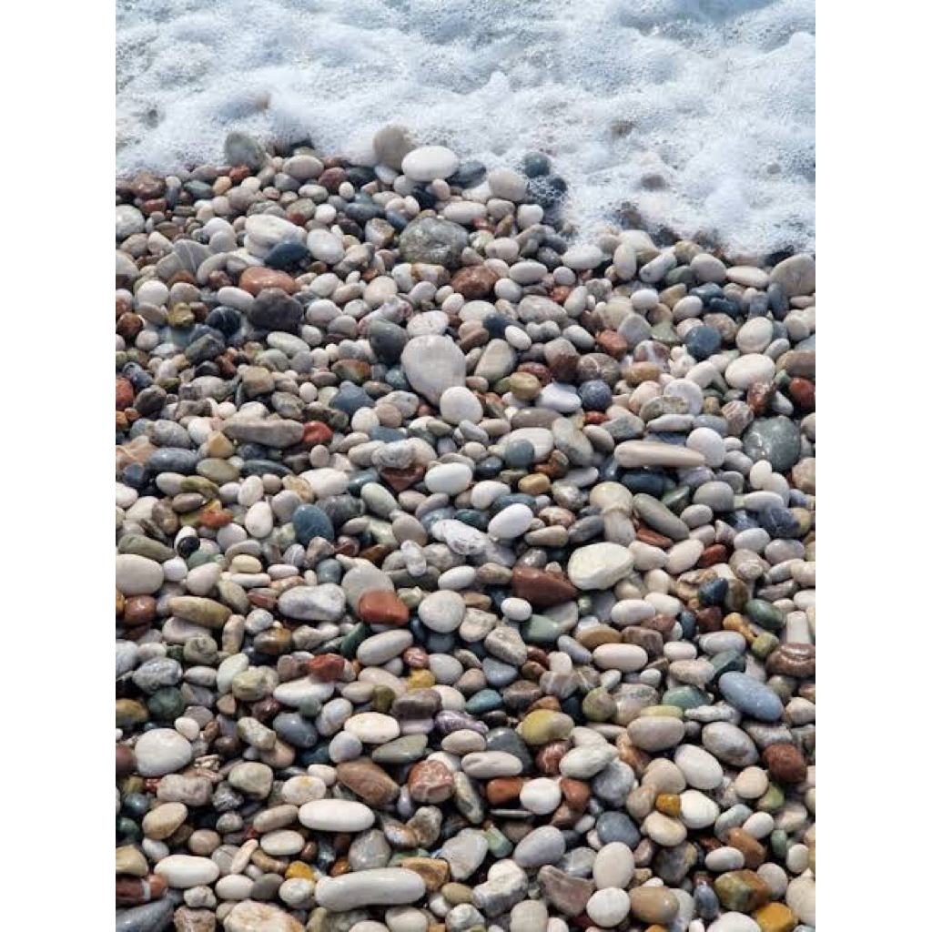 (1KG) HIASAN BATU LAUT/ HIASAN KERANG LAUT UNTUK AQUARIUM