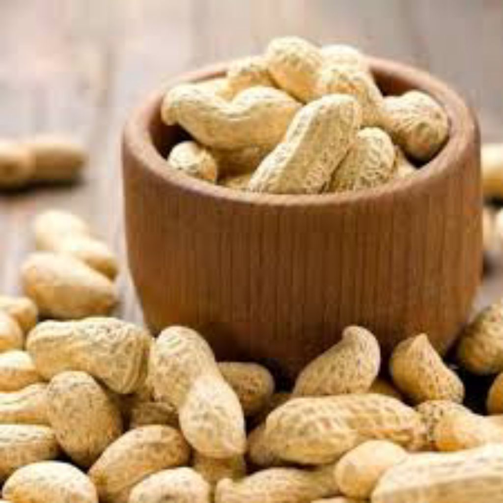 

KACANG KULIT OVEN GURIH - Terjamin Kualitasnya- Original 100%